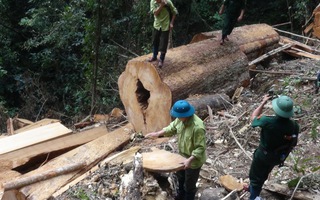 Hậu quả nhãn tiền