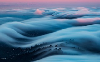 Sương mù dày đặc ở San Francisco