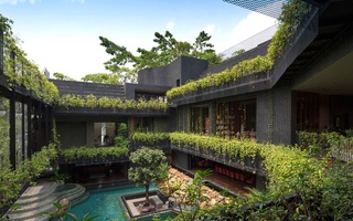 "Vườn bách thảo" trong ngôi nhà 4 tầng ở Singapore