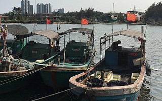 Trung Quốc bắt đầu hoảng vì "tàn sát" cá quá đà