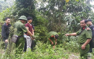 Đưa bị can vụ thảm sát Lào Cai ra thực nghiệm tại hiện trường