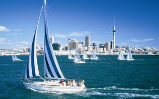 Auckland - bạc trắng những cánh buồm