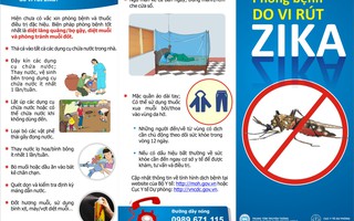 Nhận diện virus Zika