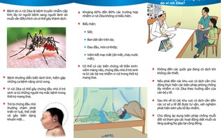 Bộ Y tế khuyến cáo thai phụ đối phó virus Zika