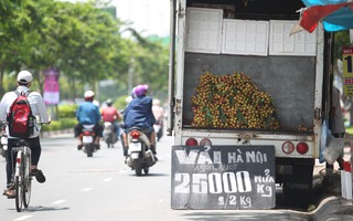 TP HCM sẵn sàng tiêu thụ vải thiều