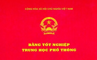 Trưởng Ban Tổ chức Thành ủy bị thu hồi bằng THPT