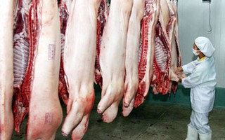 Trung Quốc tăng mua lợn mỡ