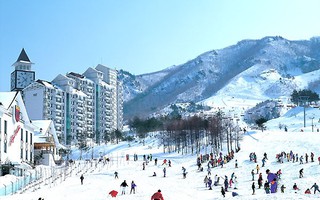 Khám phá mùa đông Hàn Quốc