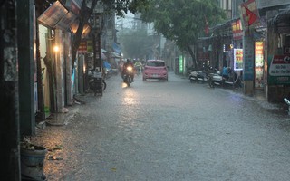 Sau đợt nắng nóng kỷ lục, Hà Nội mưa gió giông lốc đổ cây