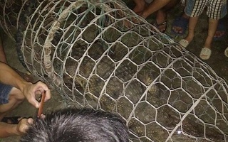 Trẻ em hốt hoảng phát hiện cá sấu trên sông ở Hà Nội