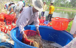 Xuất khẩu nông, lâm thủy sản bị cạnh tranh gay gắt