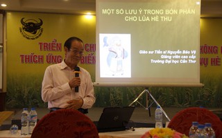 Hiệu quả từ canh tác lúa thông minh