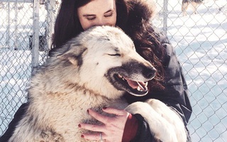 Cô gái được chó sói cứu khỏi bệnh trầm cảm sau khi bị cưỡng hiếp