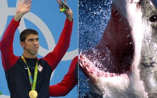 Kình ngư Phelps bị ném đá vì so tài với cá mập giả