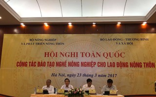 "Có xã đào tạo 600 người chuyên 1 nghề hoạn lợn"