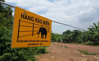 Cảnh báo nguy hiểm ở hàng rào điện ngăn voi