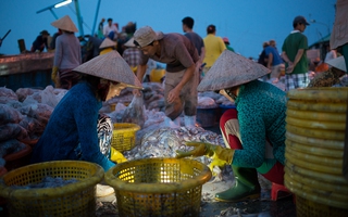 Ngất ngây với hải sản Gò Công