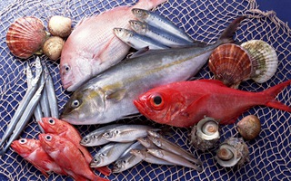 Cá đồng và cá biển: loại nào giàu chất dinh dưỡng hơn?
