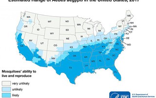 Ngành y tế Mỹ cũng "đau đầu" vì muỗi Aedes