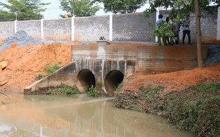 Mùa màng thất bát nghi do ô nhiễm