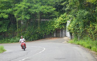 Cần thanh tra toàn diện Sơn Trà