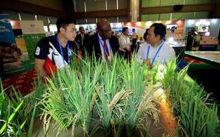 Ngắm những mô hình nông nghiệp độc đáo của Việt Nam tại APEC