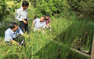 Đam mê tạo giống mới