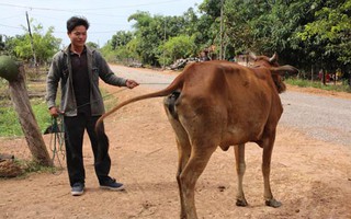 GIAN NAN THOÁT NGHÈO! (*): Đừng để ngàn tỉ trôi sông