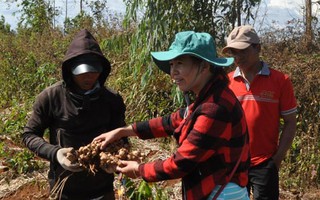 Khó khăn trăm bề!