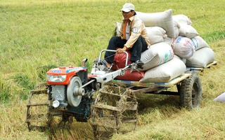 Muốn làm giàu phải tích tụ ruộng đất