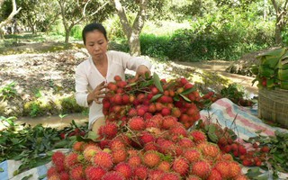 Dừa, chôm chôm sốt giá