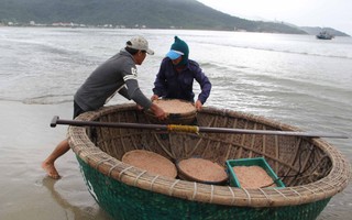 Ngư dân Đà Nẵng trúng đậm mùa ruốc