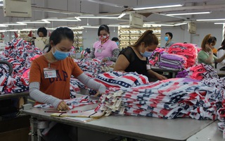 Công nghiệp Việt Nam “chưa giàu đã già”