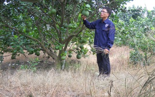 Thành quả sáng tạo