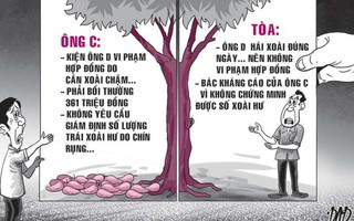 Chủ vườn xoài kiện ông mua xoài