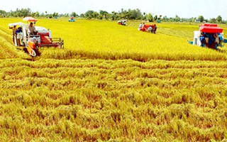 “Nhiều cơ chế đất đai đang cản trở phát triển nông nghiệp”