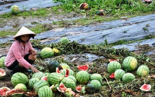 Vì sao liên tục vỡ 'bong bóng' dưa hấu, chuối, heo...?