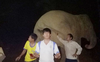 Liều mình ôm, chụp ảnh "tự sướng" với voi rừng trong đêm