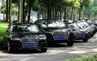 Bán công khai gần 400 xe 'Audi APEC'