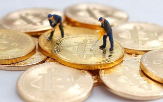 Những “thây ma Bitcoin” tại Hàn Quốc