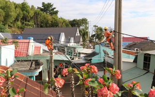 Người dân trên đảo Sơn Hải được sử dụng điện lưới quốc gia