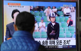 Hàn Quốc: Chủ nhân ngựa triệu đô bị bắt