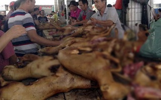 Lễ hội thịt chó Trung Quốc bất ngờ được tổ chức