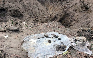 Tìm thấy hố chôn tập thể liệt sĩ tại sân bay Biên Hòa
