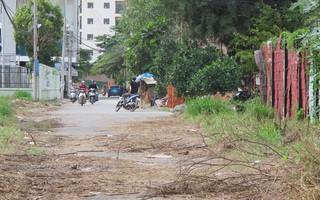 Kháng nghị tăng án cô gái đâm chết người tình đang thoát y