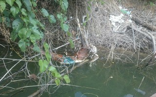 Phát hiện bộ xương nghi của công nhân Sông Bung 2 mất tích 6 tháng trước