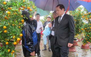 Chủ tịch Đà Nẵng đội mưa động viên tiểu thương