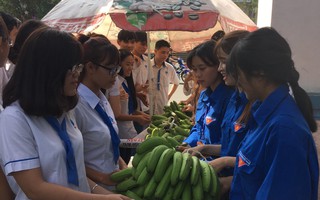 Sinh viên mua 1 tấn chuối trong 2 giờ giúp nông dân Đồng Nai