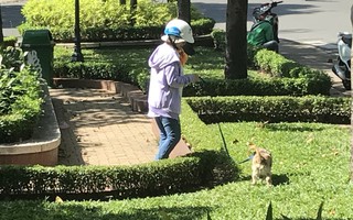 Lý giải chuyện cấm nuôi chó, mèo ở chung cư Sài Gòn