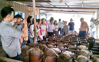 Nông nghiệp gắn với homestay trên quê hương Bác Tôn